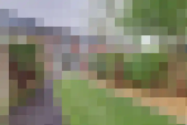 Spireastraat 31 Venlo thumbnail 6