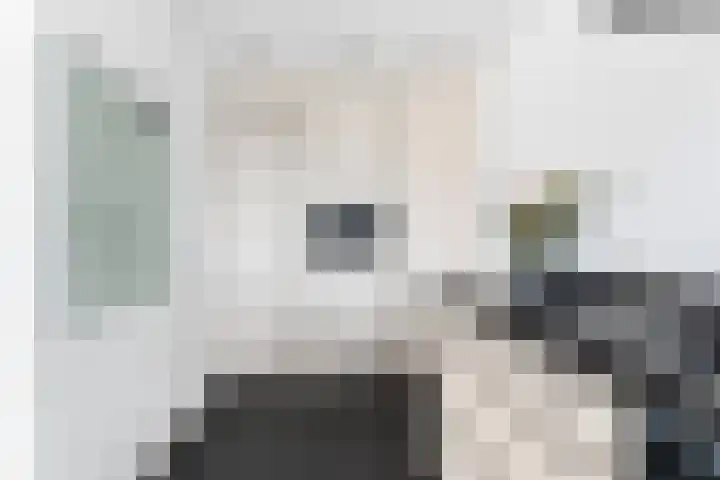 Spireastraat 4 Rotterdam thumbnail 18