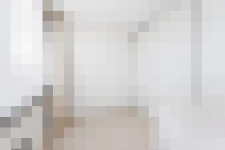 Spireastraat 4 Rotterdam thumbnail 22