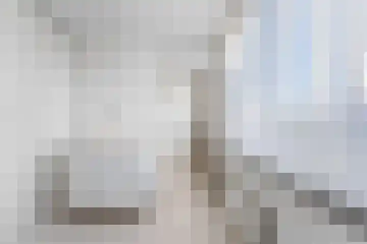 Spireastraat 4 Rotterdam thumbnail 23