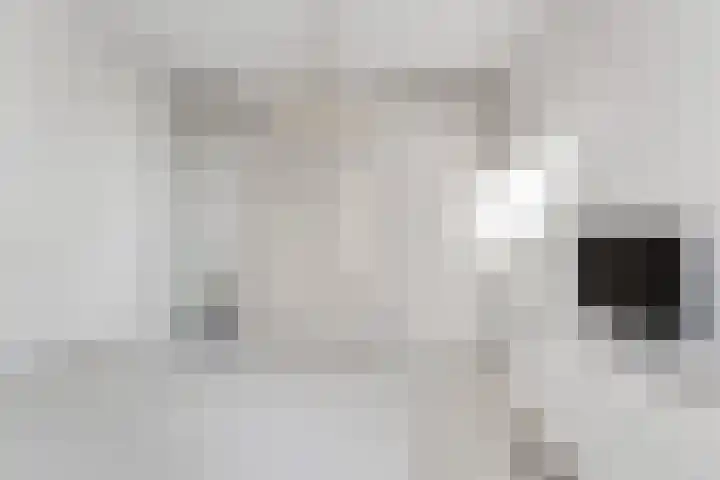 Spireastraat 4 Rotterdam thumbnail 35
