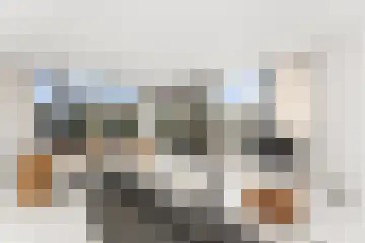 Spireastraat 4 Rotterdam thumbnail 8