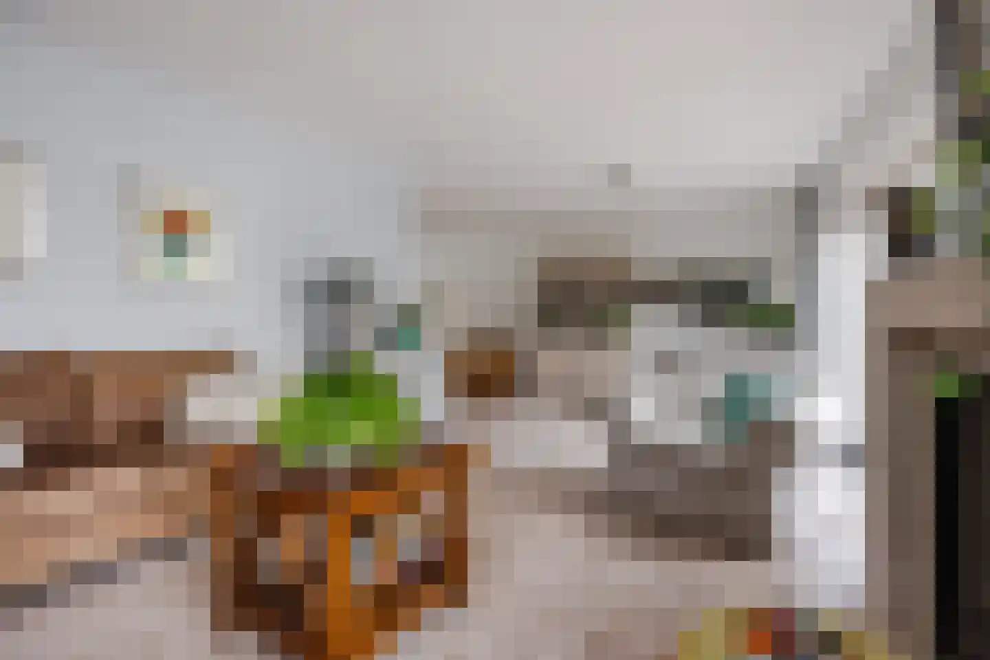 Spireaveld 37 Den Haag thumbnail 18