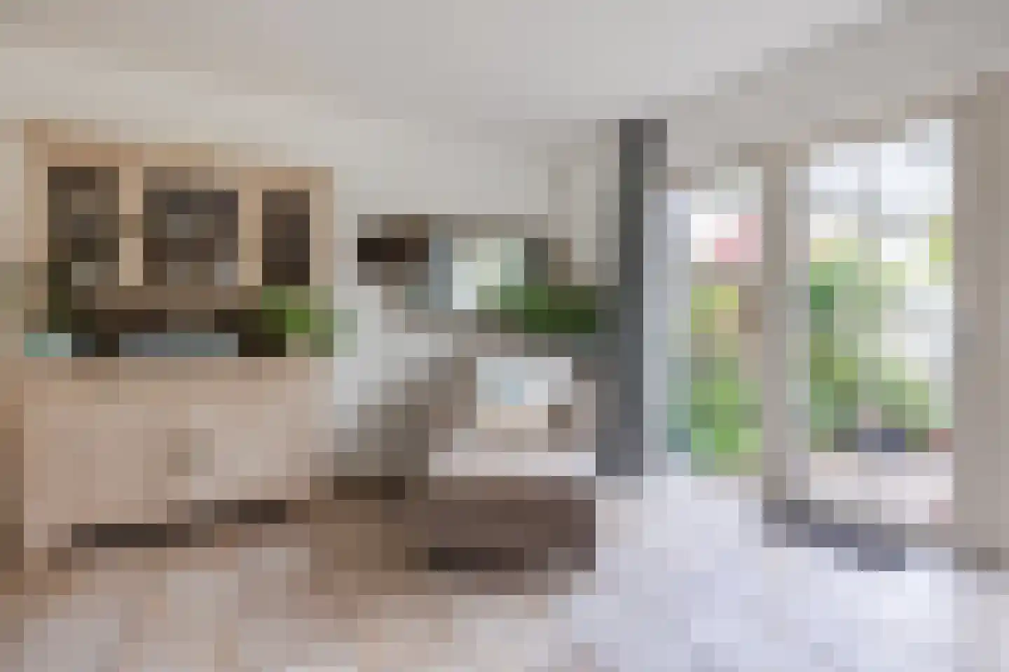 Spireaveld 37 Den Haag thumbnail 19