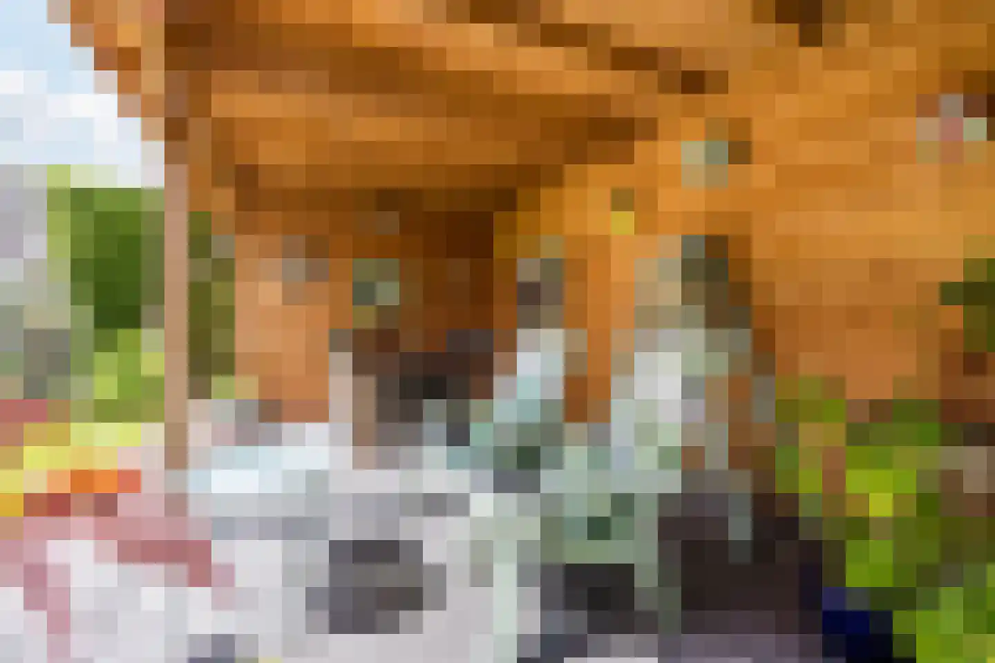 Spireaveld 37 Den Haag thumbnail 25