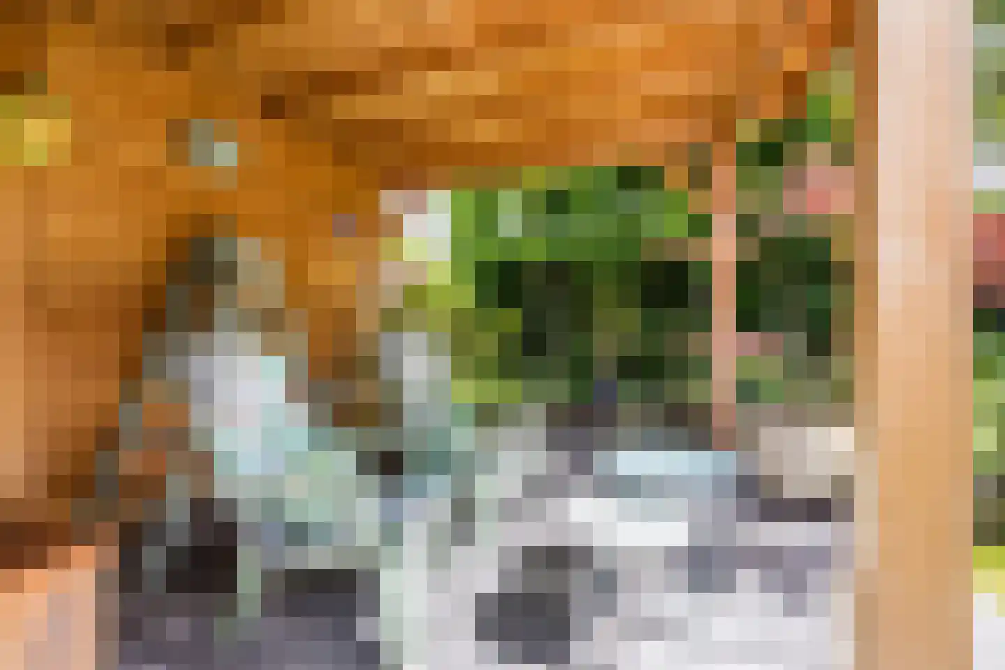 Spireaveld 37 Den Haag thumbnail 26