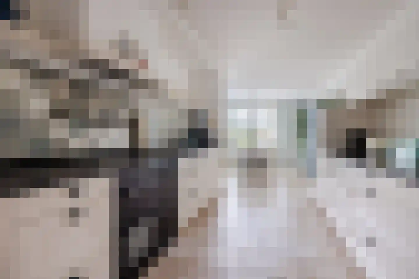Spireaveld 37 Den Haag thumbnail 4