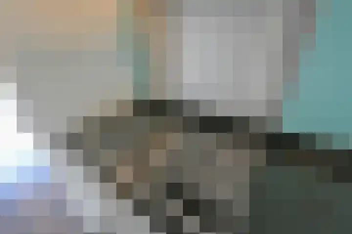 Spireaveld 77 Den Haag thumbnail 16