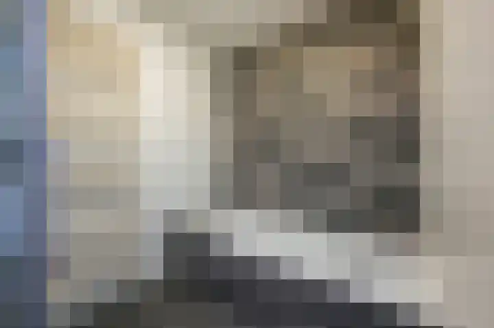 Spireaveld 77 Den Haag thumbnail 35
