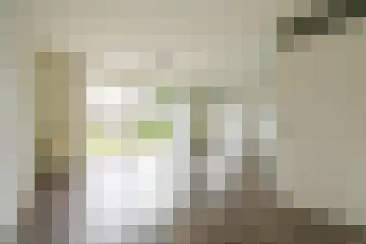 Spireaveld 77 Den Haag thumbnail 4