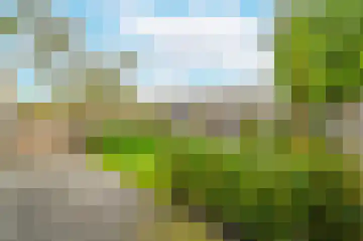 Spireaveld 77 Den Haag thumbnail 40