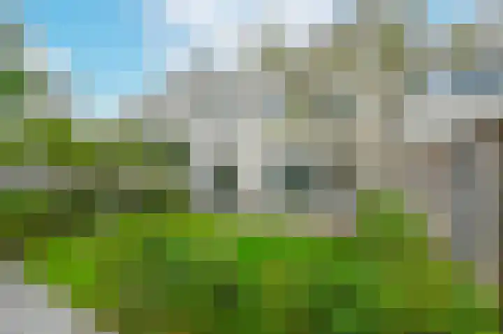 Spireaveld 77 Den Haag thumbnail 43