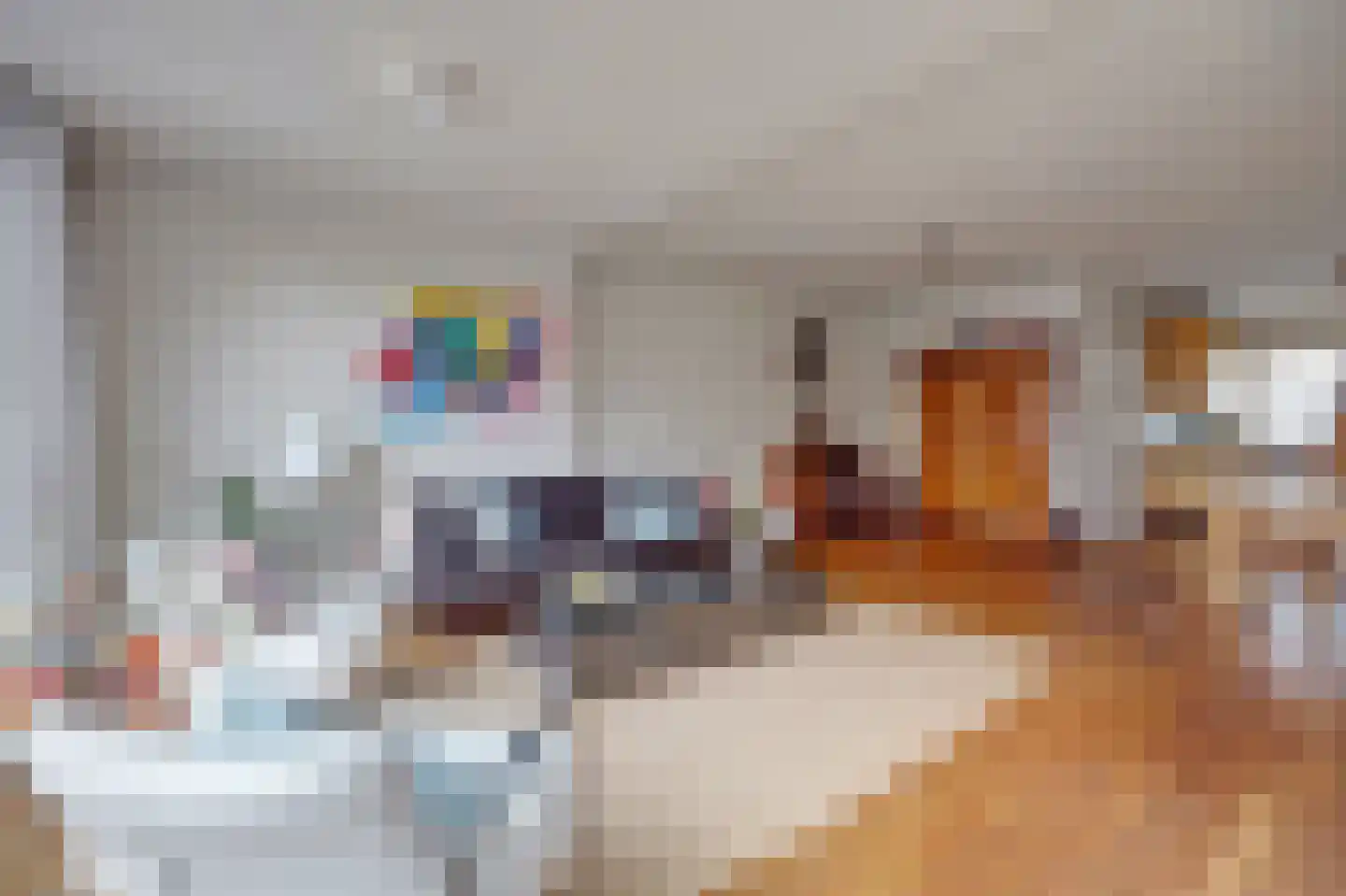 Spireaweide 15 Waddinxveen thumbnail 11