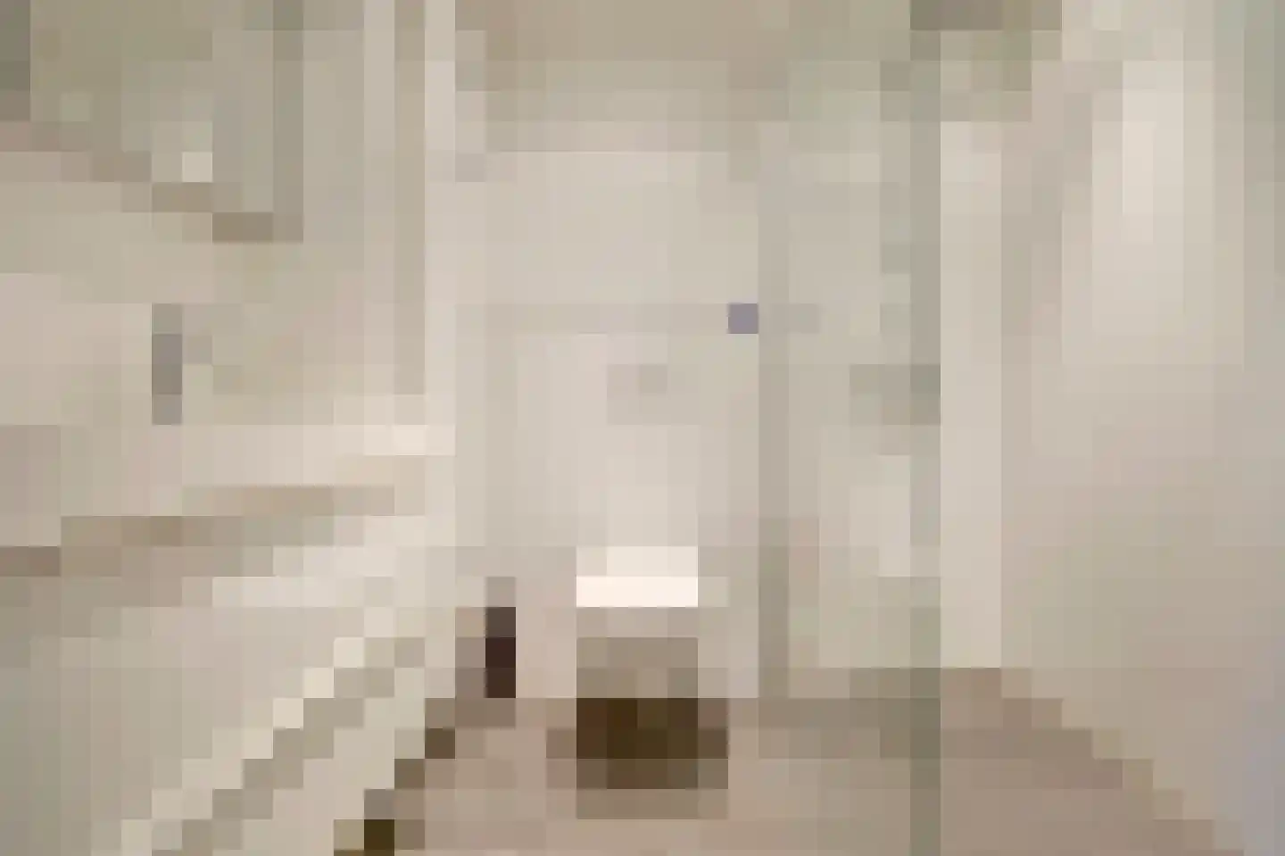 Spireaweide 15 Waddinxveen thumbnail 22