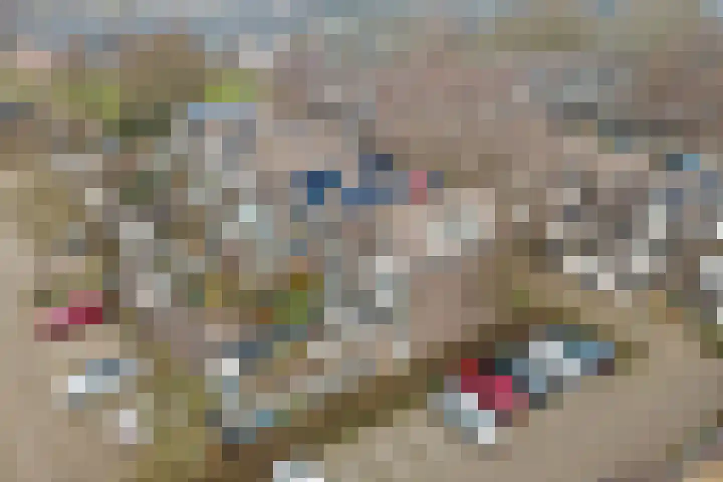 Spireaweide 15 Waddinxveen thumbnail 38