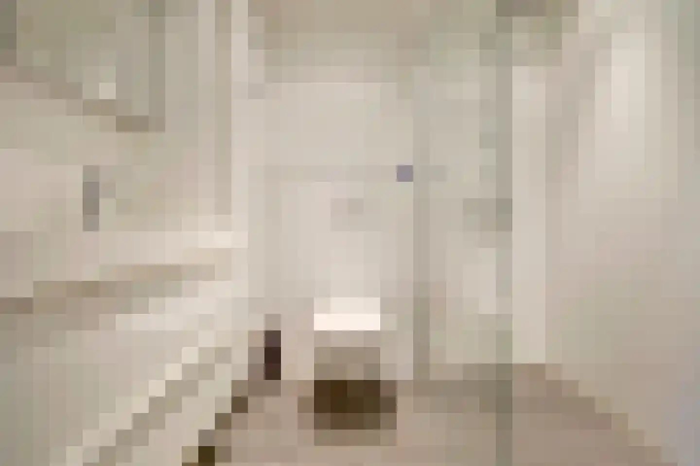 Spireaweide 15 Waddinxveen thumbnail 4