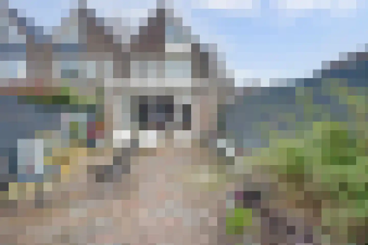 Spireaweide 15 Waddinxveen thumbnail 5