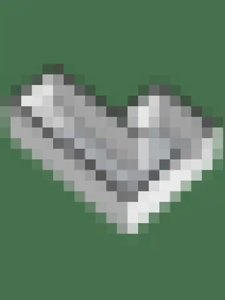 Logo de Spirit Vastgoed | NVM Qualis