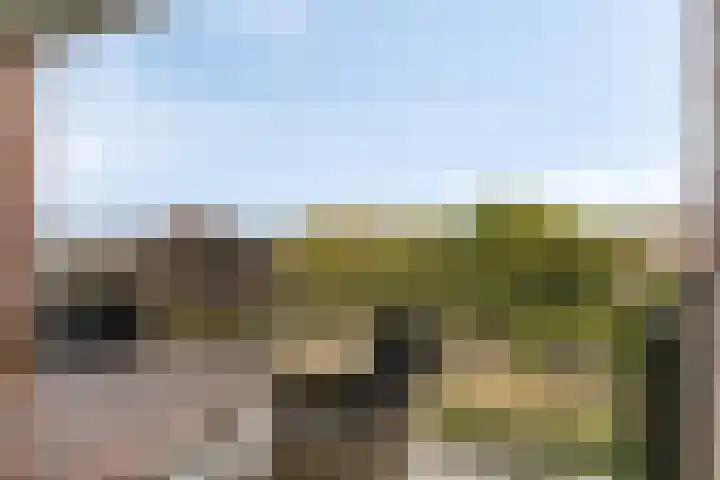 Spirituslaan 116 Bergen op Zoom thumbnail 30