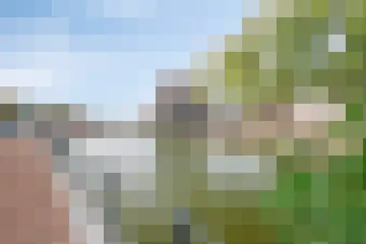 Spirituslaan 116 Bergen op Zoom thumbnail 45