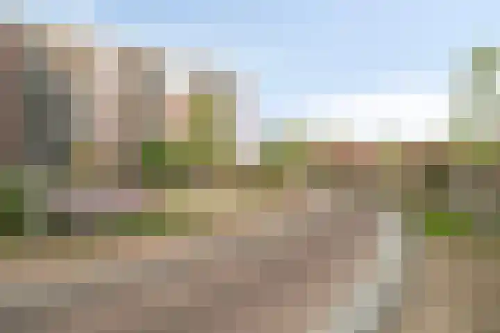Spirituslaan 116 Bergen op Zoom thumbnail 51