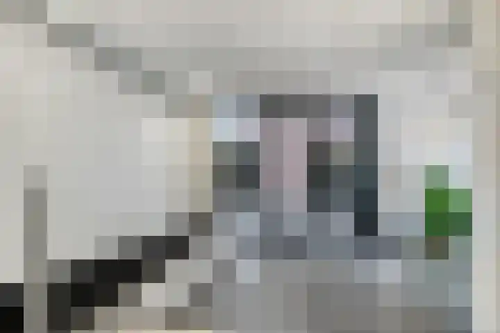 Spirituslaan 116 Bergen op Zoom thumbnail 8