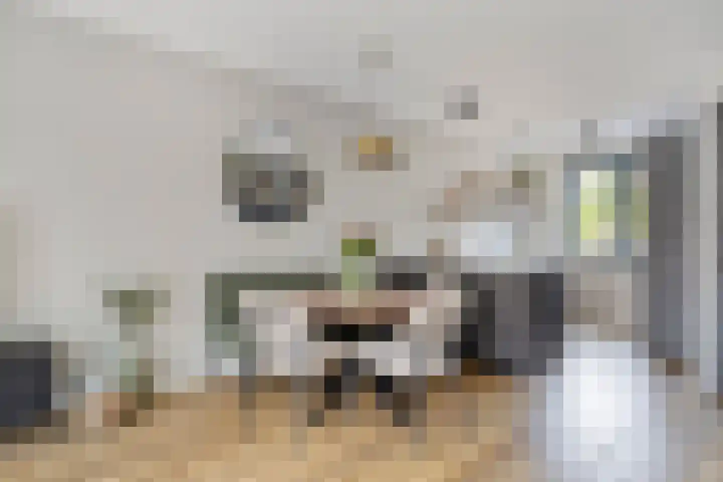 Spirituslaan 9 Bergen op Zoom thumbnail 4
