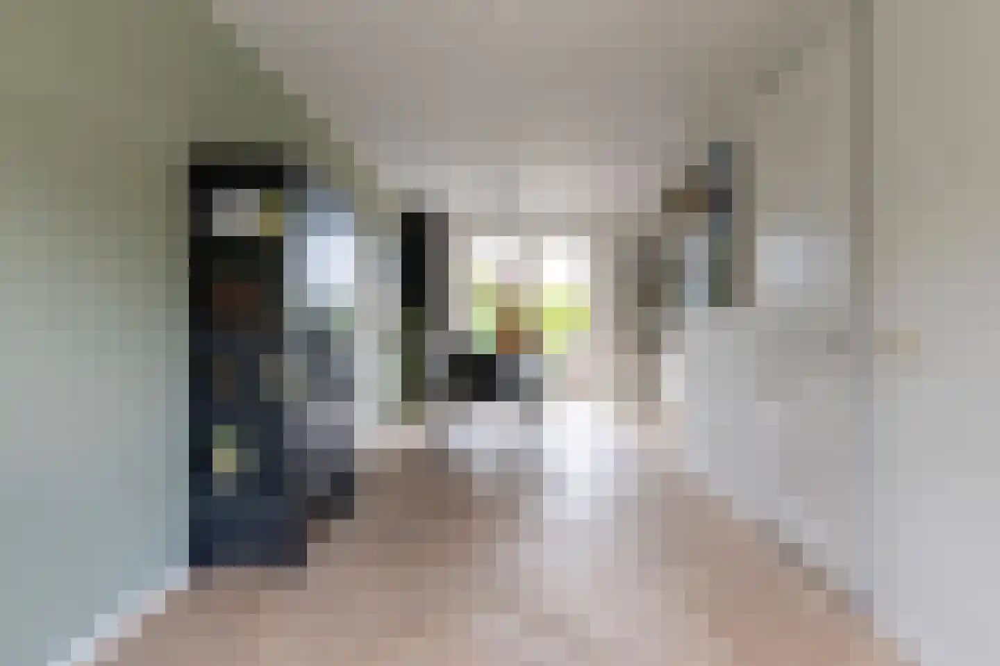 Spitaalzoom 40 Emmen thumbnail 10