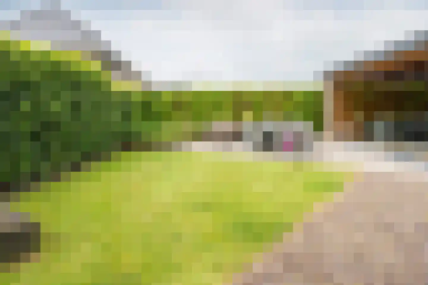 Spitaalzoom 40 Emmen thumbnail 26