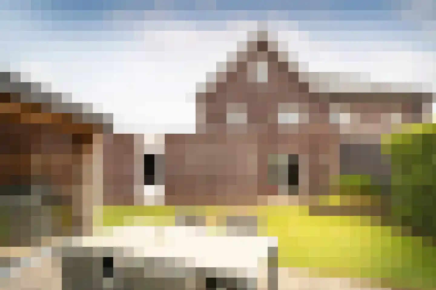 Spitaalzoom 40 Emmen thumbnail 30