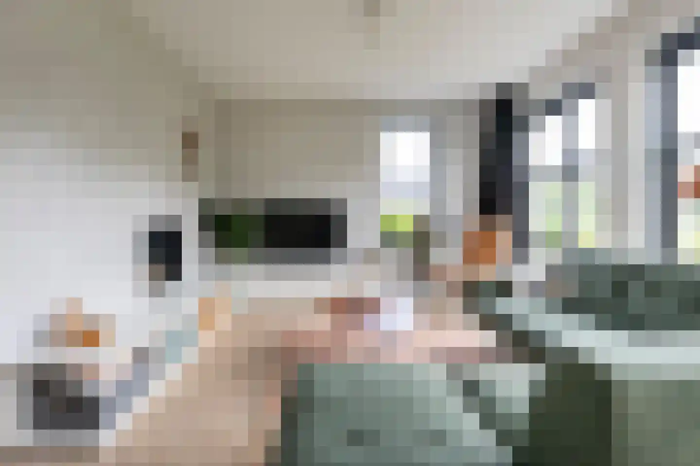 Spitaalzoom 40 Emmen thumbnail 7