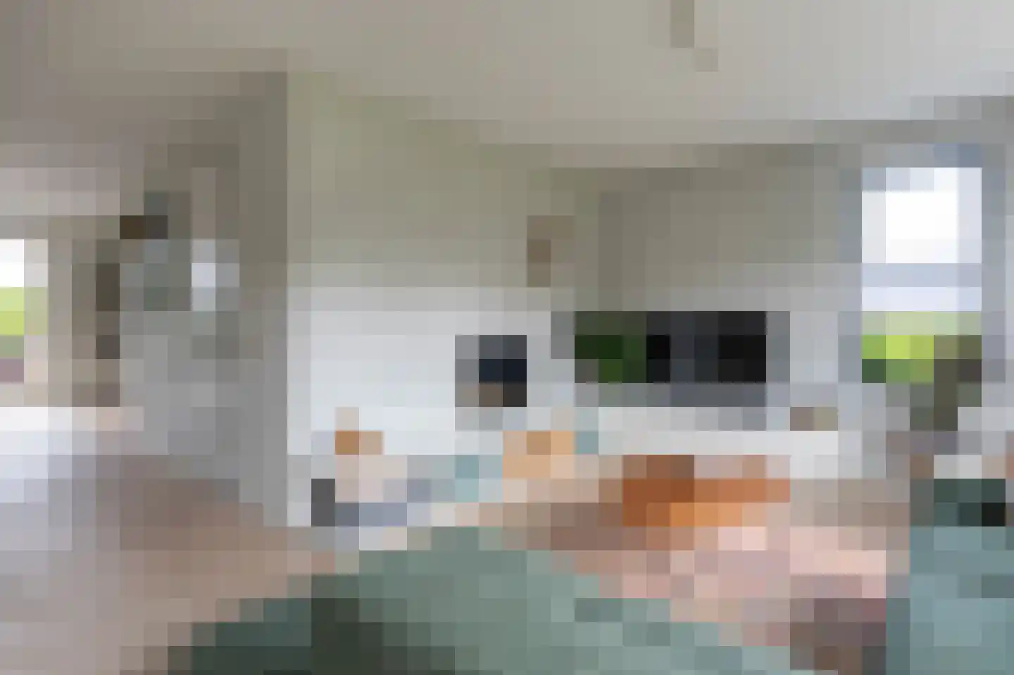 Spitaalzoom 40 Emmen thumbnail 9