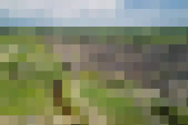 Spitael 102 Drachten thumbnail 12