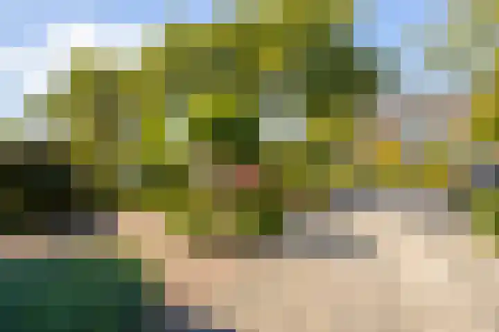 Spitael 102 Drachten thumbnail 18