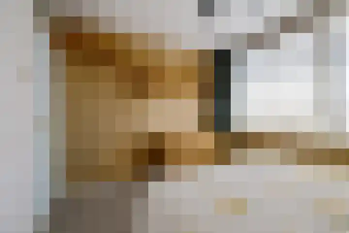 Spitael 102 Drachten thumbnail 19