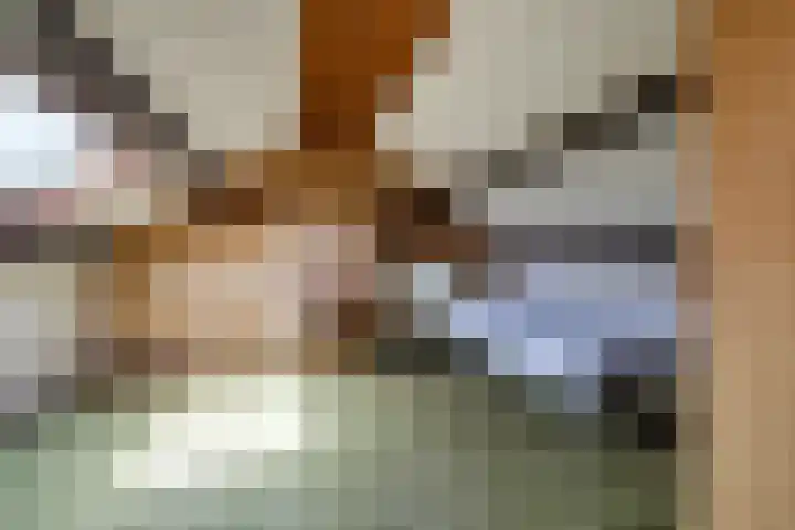 Spitael 102 Drachten thumbnail 26