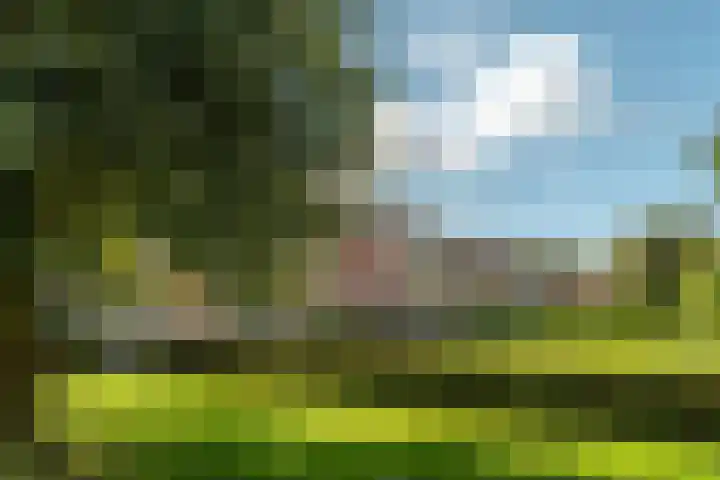 Spitael 106 Drachten thumbnail 4