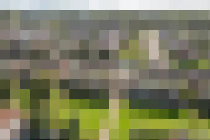 Spitael 106 Drachten thumbnail 5