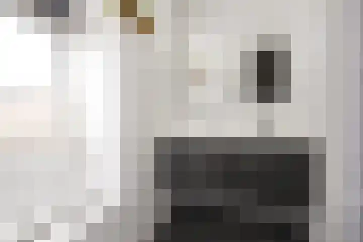 Spitael 110 Drachten thumbnail 18