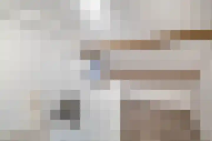 Spitael 110 Drachten thumbnail 21