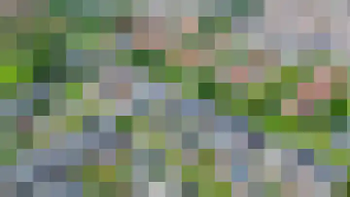 Spitael 110 Drachten thumbnail 31