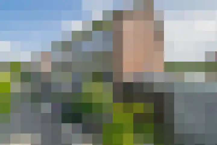 Spitael 110 Drachten thumbnail 4