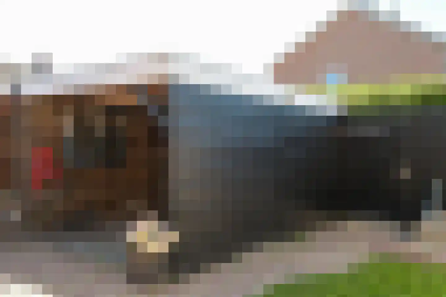 Spitael 124 Drachten thumbnail 34
