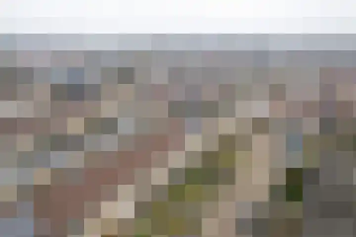 Spitael 17 Drachten thumbnail 4