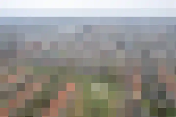 Spitael 17 Drachten thumbnail 5
