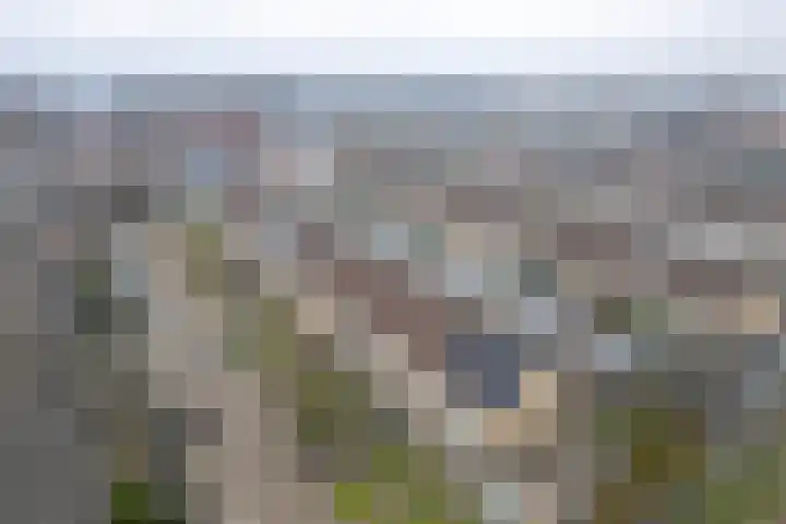 Spitael 17 Drachten thumbnail 6