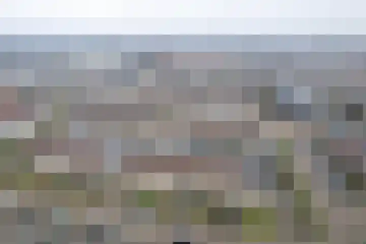 Spitael 17 Drachten thumbnail 7
