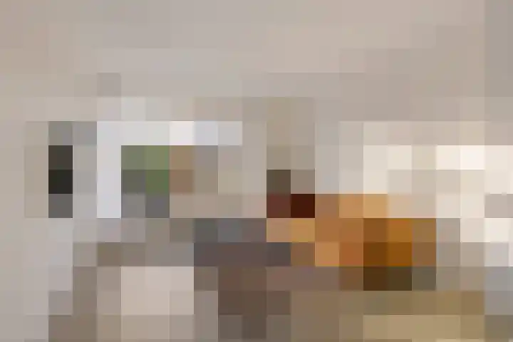 Spitael 35 Drachten thumbnail 10