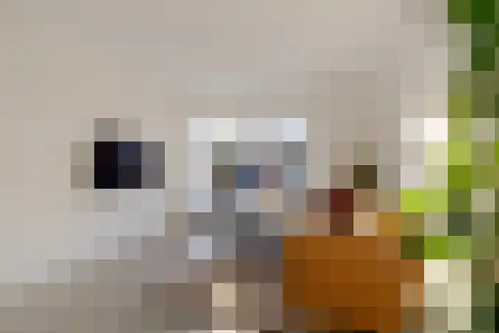 Spitael 35 Drachten thumbnail 11