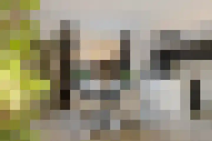 Spitael 35 Drachten thumbnail 12